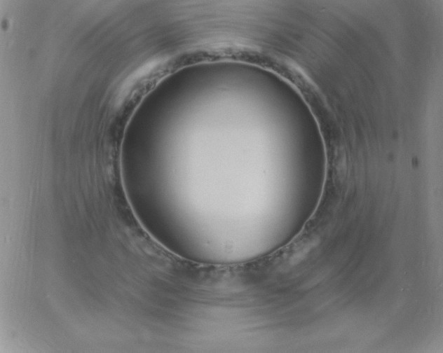 X0000060751016200511241658