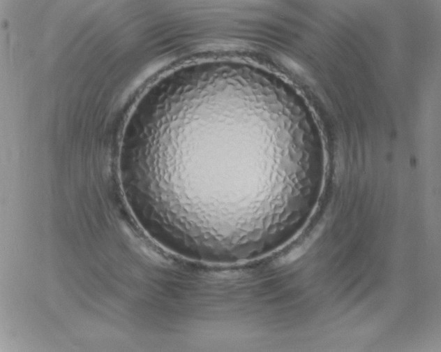 X0000060751017200511241658