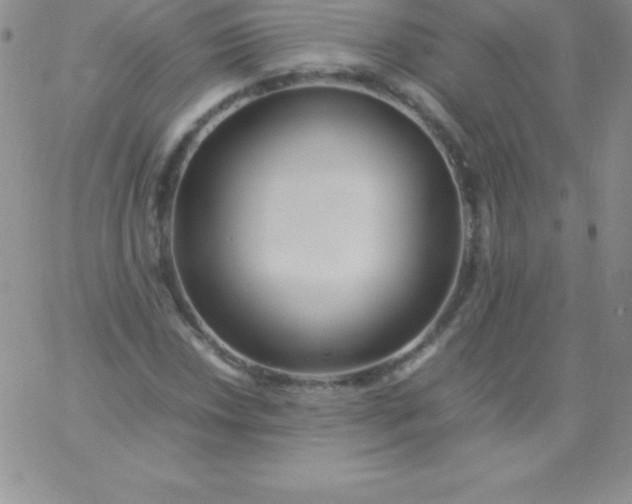 X0000060751018200511241658