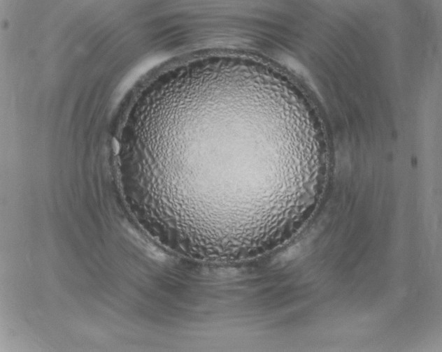 X0000060751019200511241658