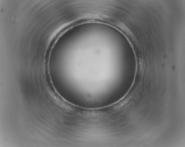 X0000060751020200511241658