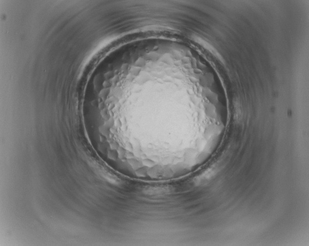 X0000060751021200511241658