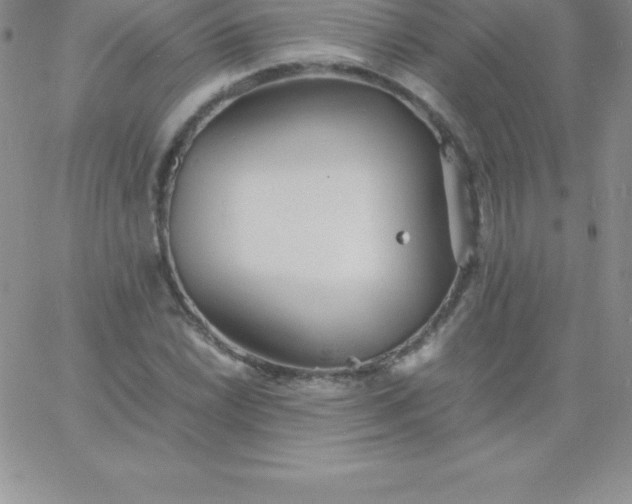 X0000060751022200511241658