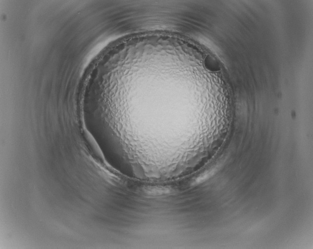 X0000060751023200511241658