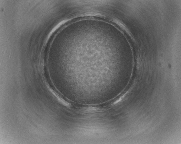 X0000060751024200511241658