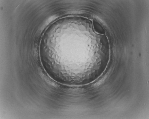 X0000060751025200511241658