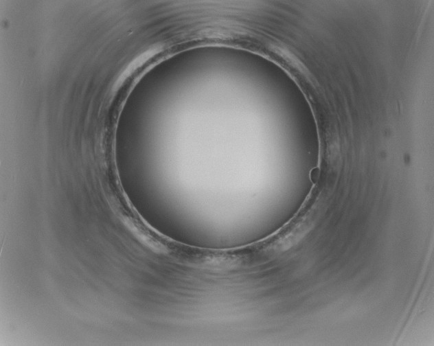 X0000060751026200511241658