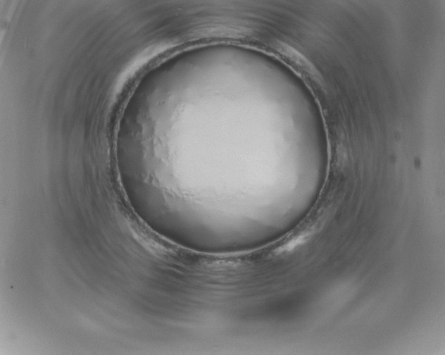 X0000060751027200511241658