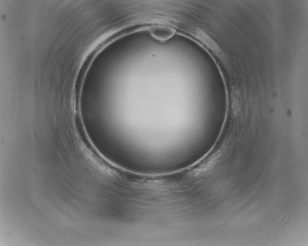 X0000060751028200511241658