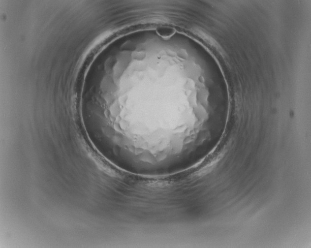 X0000060751029200511241658