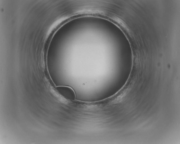 X0000060751030200511241658