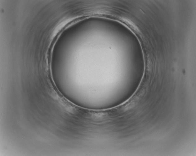 X0000060751031200511241658