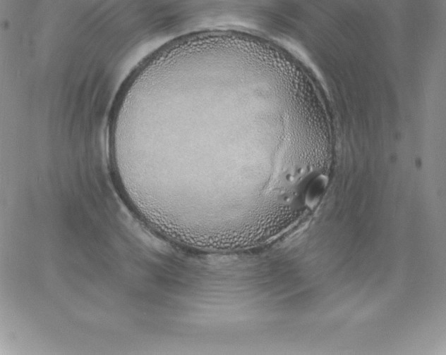 X0000060751032200511241658