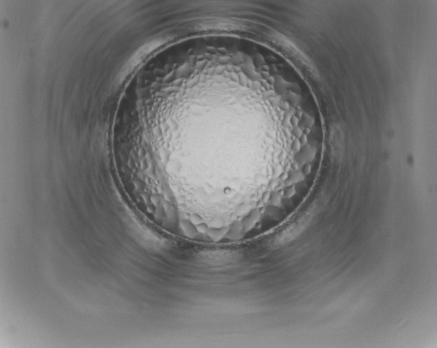 X0000060751033200511241658