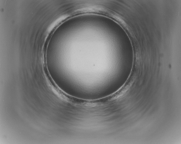 X0000060751034200511241658