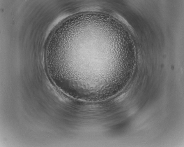 X0000060751035200511241658