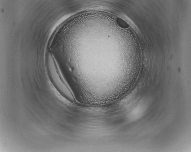 X0000060751036200511241658