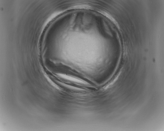 X0000060751037200511241658