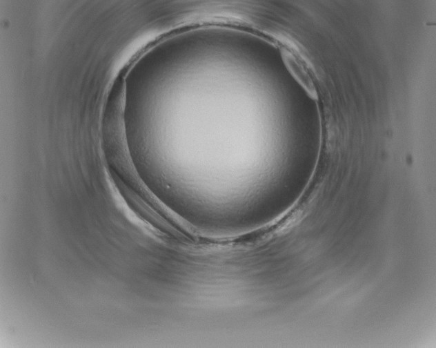 X0000060751038200511241658