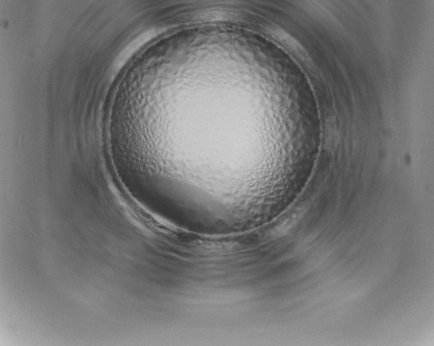 X0000060751039200511241658