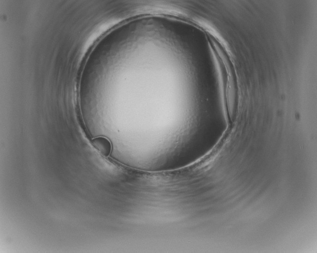 X0000060751040200511241658