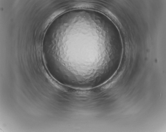 X0000060751041200511241658