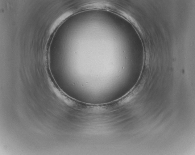 X0000060751042200511241658