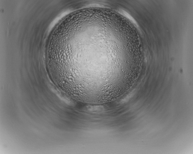 X0000060751043200511241658