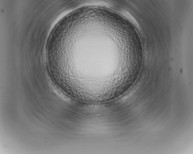 X0000060751044200511241658