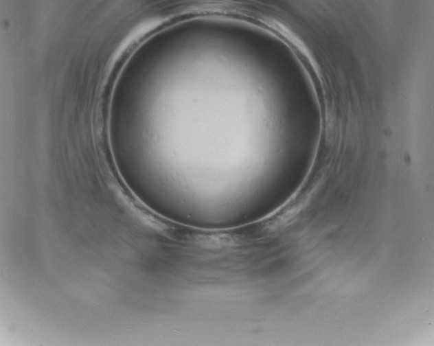 X0000060751045200511241658