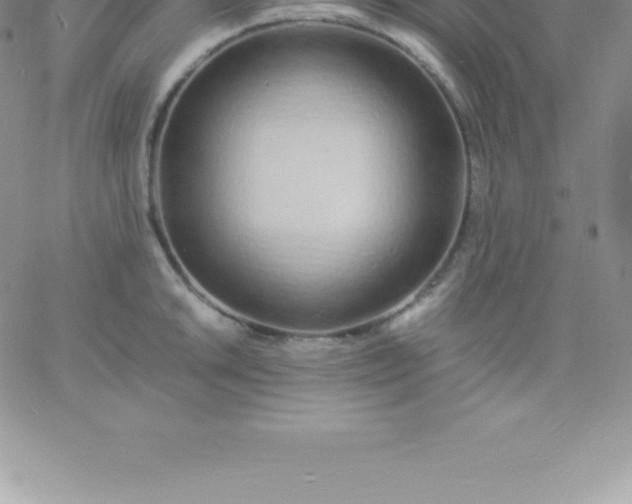 X0000060751046200511241658