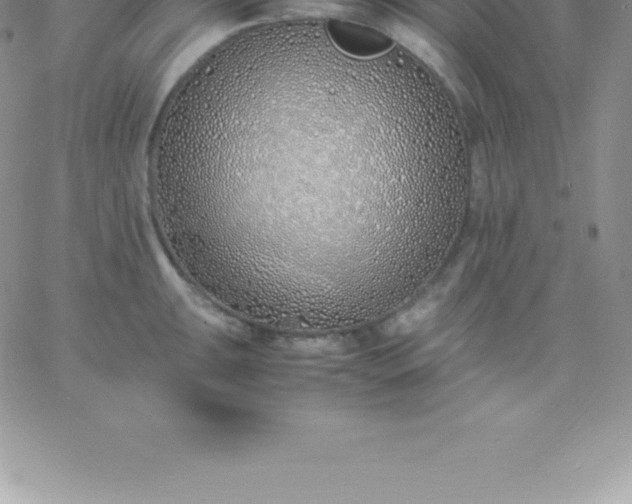 X0000060751047200511241658