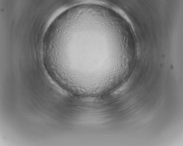 X0000060751048200511241658