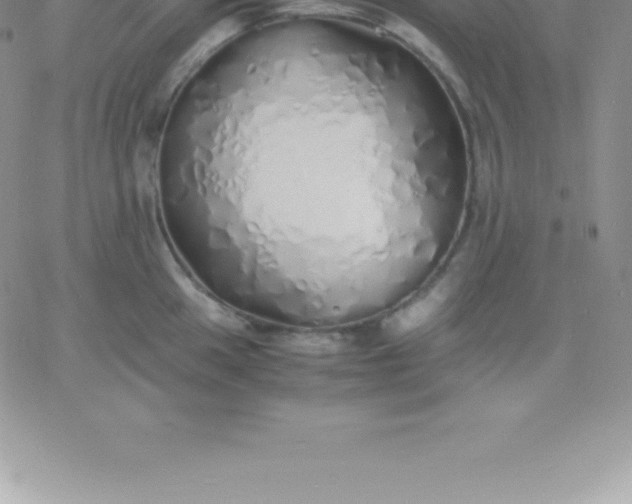 X0000060751049200511241658