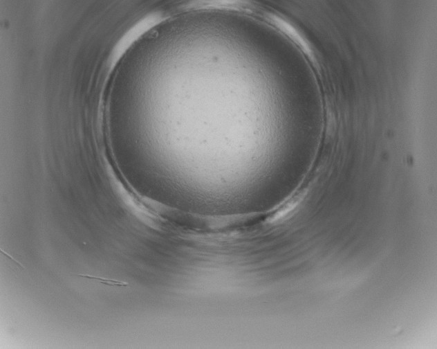 X0000060751050200511241658