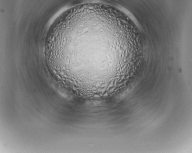 X0000060751051200511241658