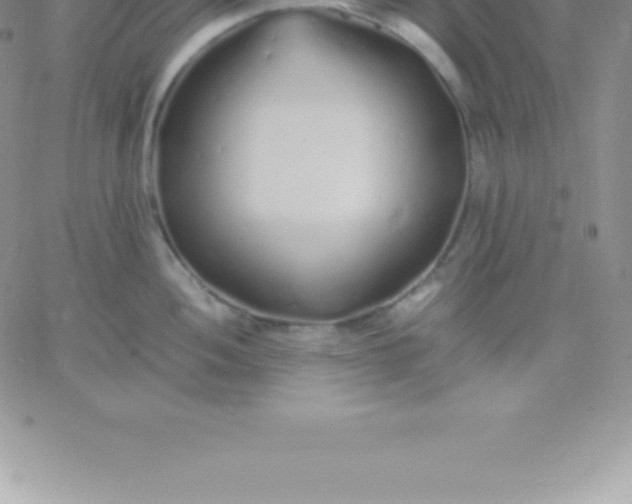 X0000060751052200511241658