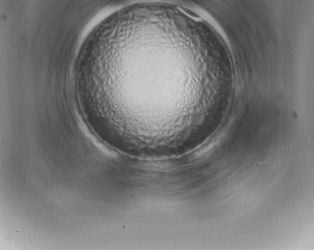 X0000060751053200511241658