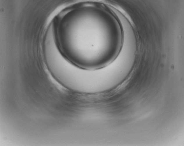 X0000060751054200511241658