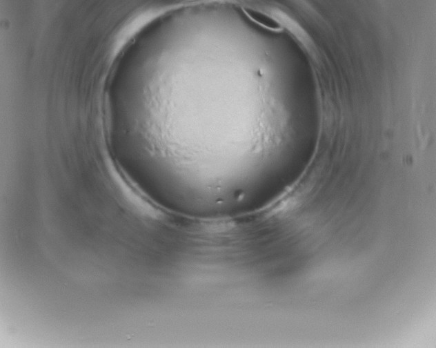 X0000060751055200511241658