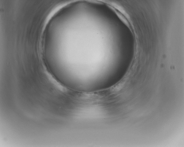 X0000060751056200511241658