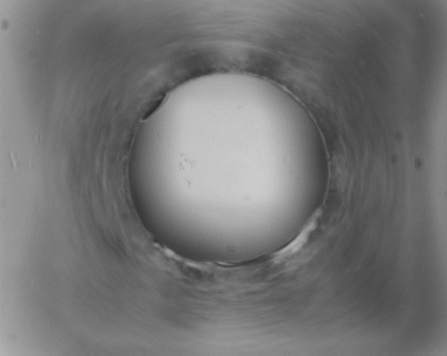 X0000060751057200511241657