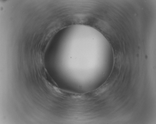 X0000060751058200511241657