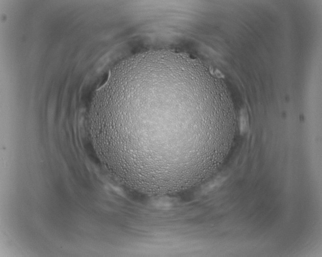 X0000060751059200511241657