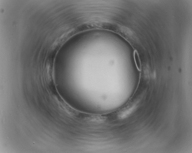 X0000060751060200511241657