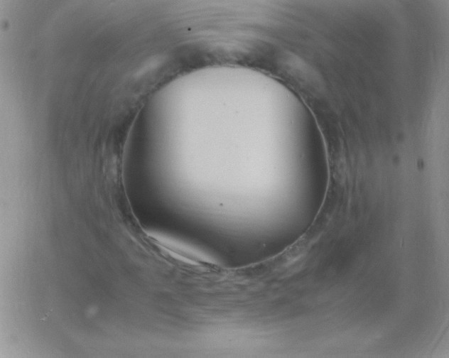 X0000060751061200511241657