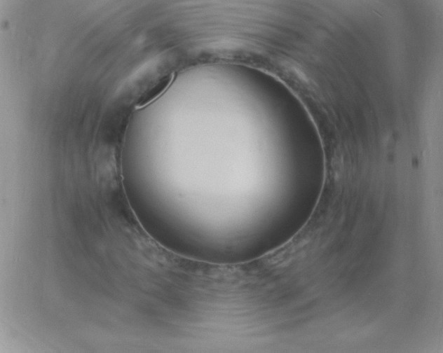 X0000060751062200511241657