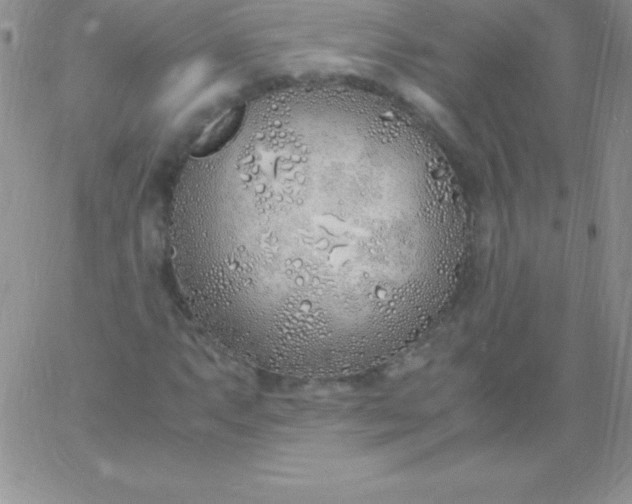 X0000060751063200511241657