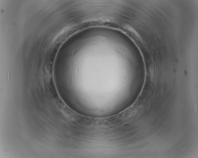 X0000060751064200511241657