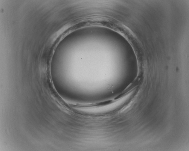 X0000060751065200511241657